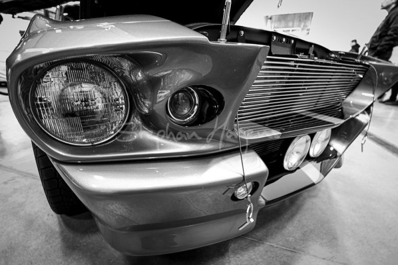 Shelby01-min