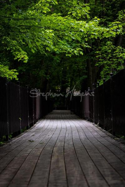 RosemereBridge