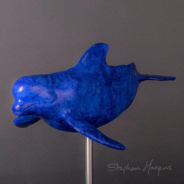 Pilot-Whale-1