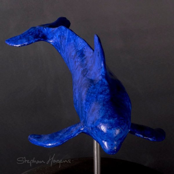 Pilot-Whale-2